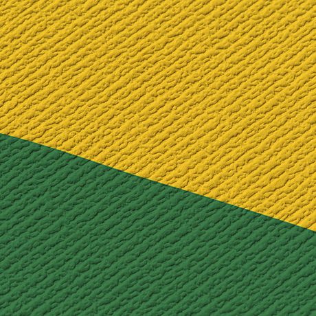 Painel de Parede Jardim Leopard Amarelo e Laranja