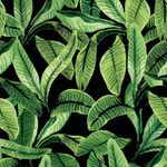 Papel-de-Parede-Vinilico-Paisagem-tropical-Verde-e-Preto-I