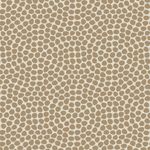 Papel-de-Parede-Vinilico-Retro-Bolinhas-Bege