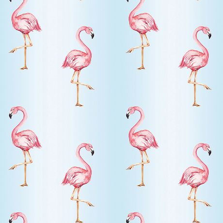 Papel de Parede Vinílico Flamingos Azul