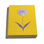 Canvas-Floral-Cool-Amarelo-e-Azul