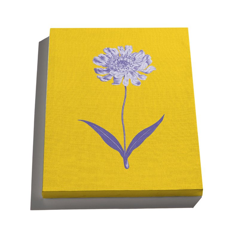 Canvas-Floral-Cool-Amarelo-e-Azul