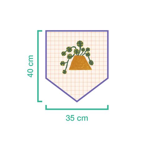 Flâmula Plantas Exóticas Bege e Laranja